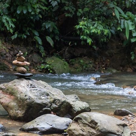 Rain Forest Guest House And Jungle Trekking Bukit Lawang Eksteriør billede
