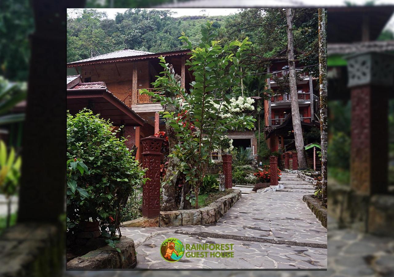 Rain Forest Guest House And Jungle Trekking Bukit Lawang Eksteriør billede