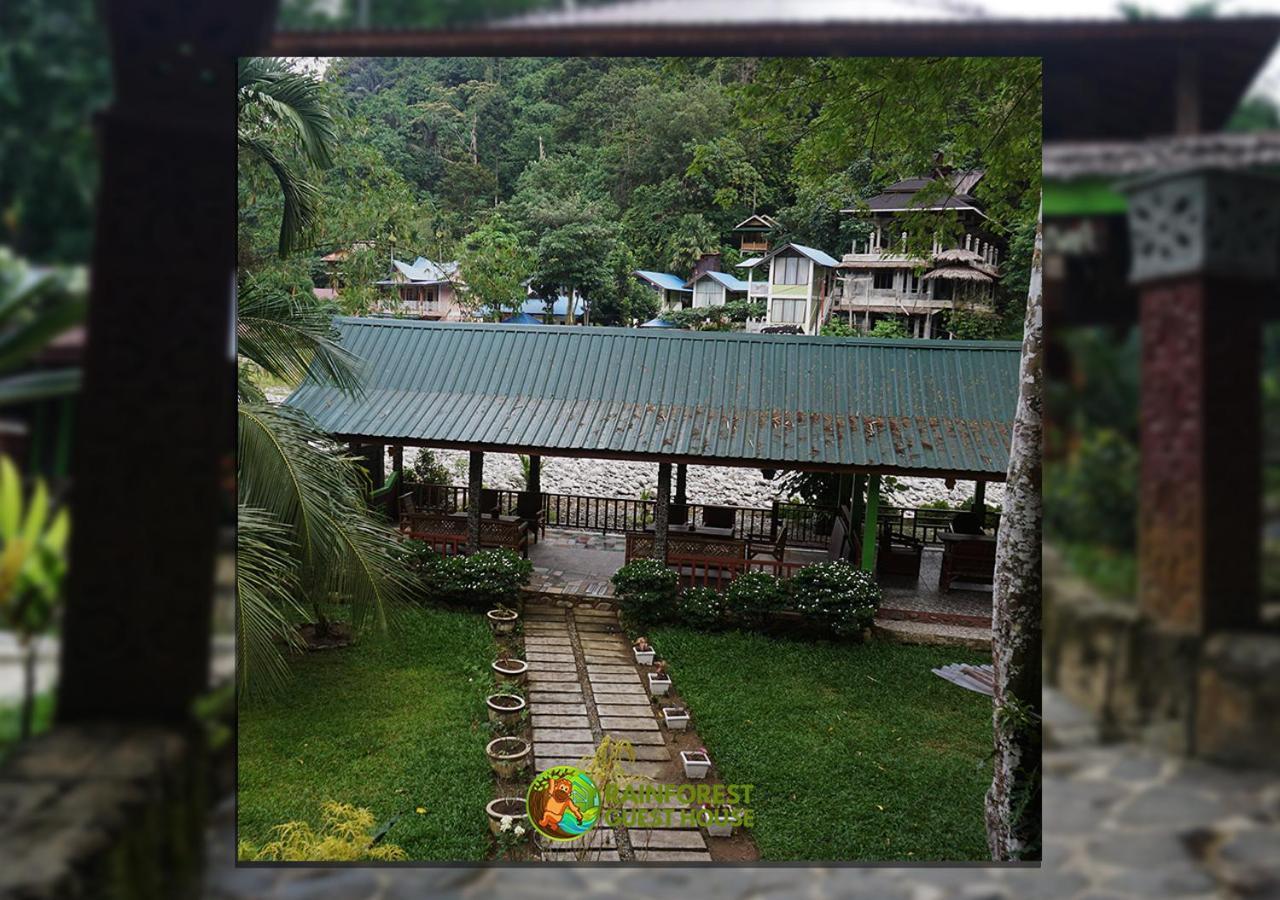 Rain Forest Guest House And Jungle Trekking Bukit Lawang Eksteriør billede