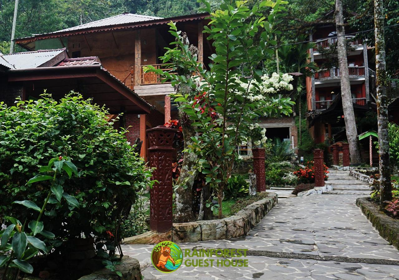 Rain Forest Guest House And Jungle Trekking Bukit Lawang Eksteriør billede