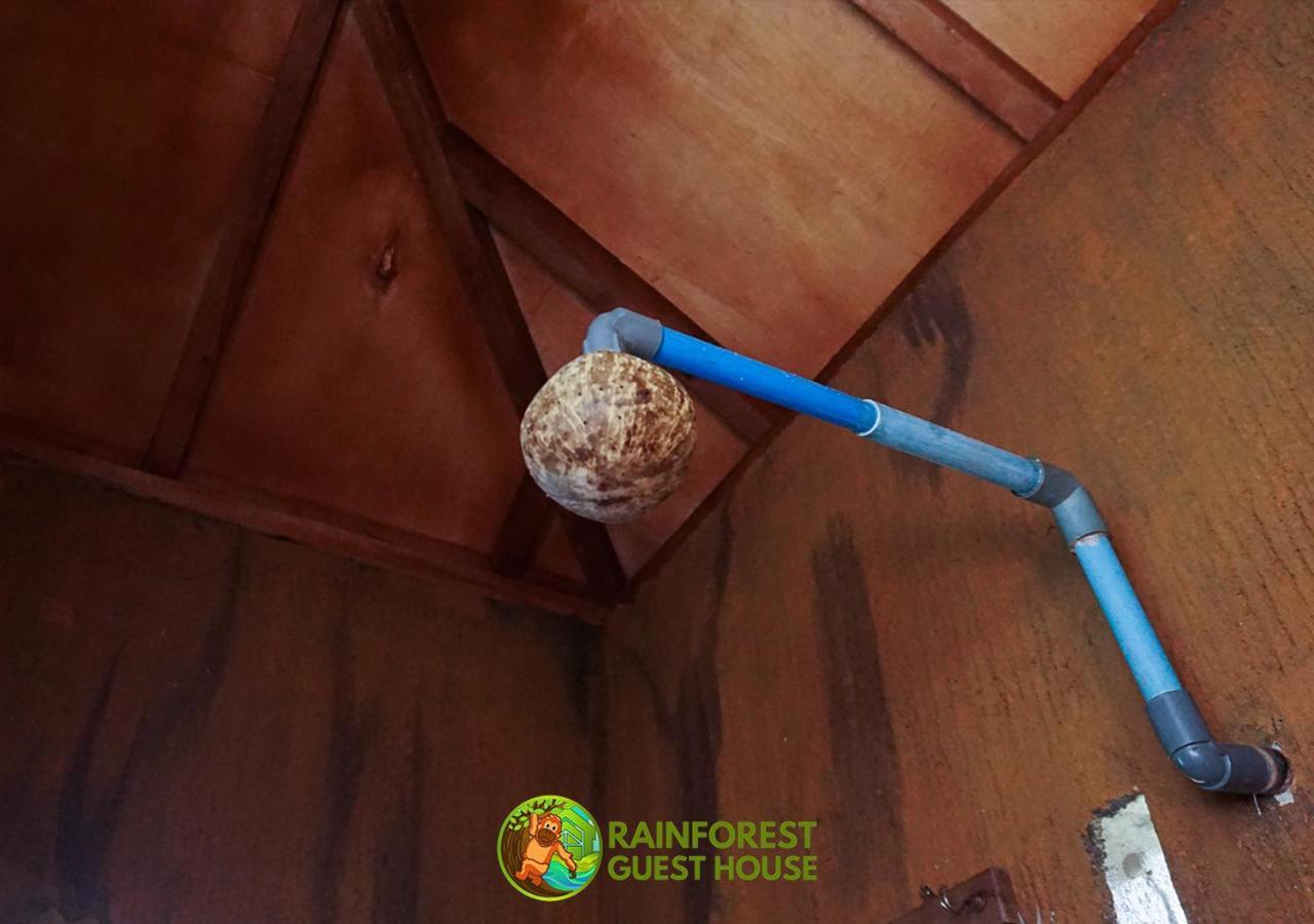 Rain Forest Guest House And Jungle Trekking Bukit Lawang Eksteriør billede