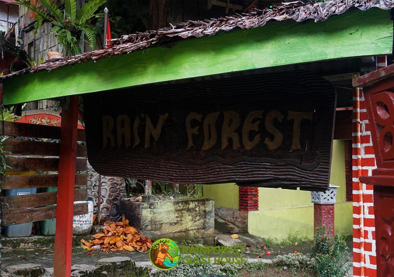 Rain Forest Guest House And Jungle Trekking Bukit Lawang Eksteriør billede