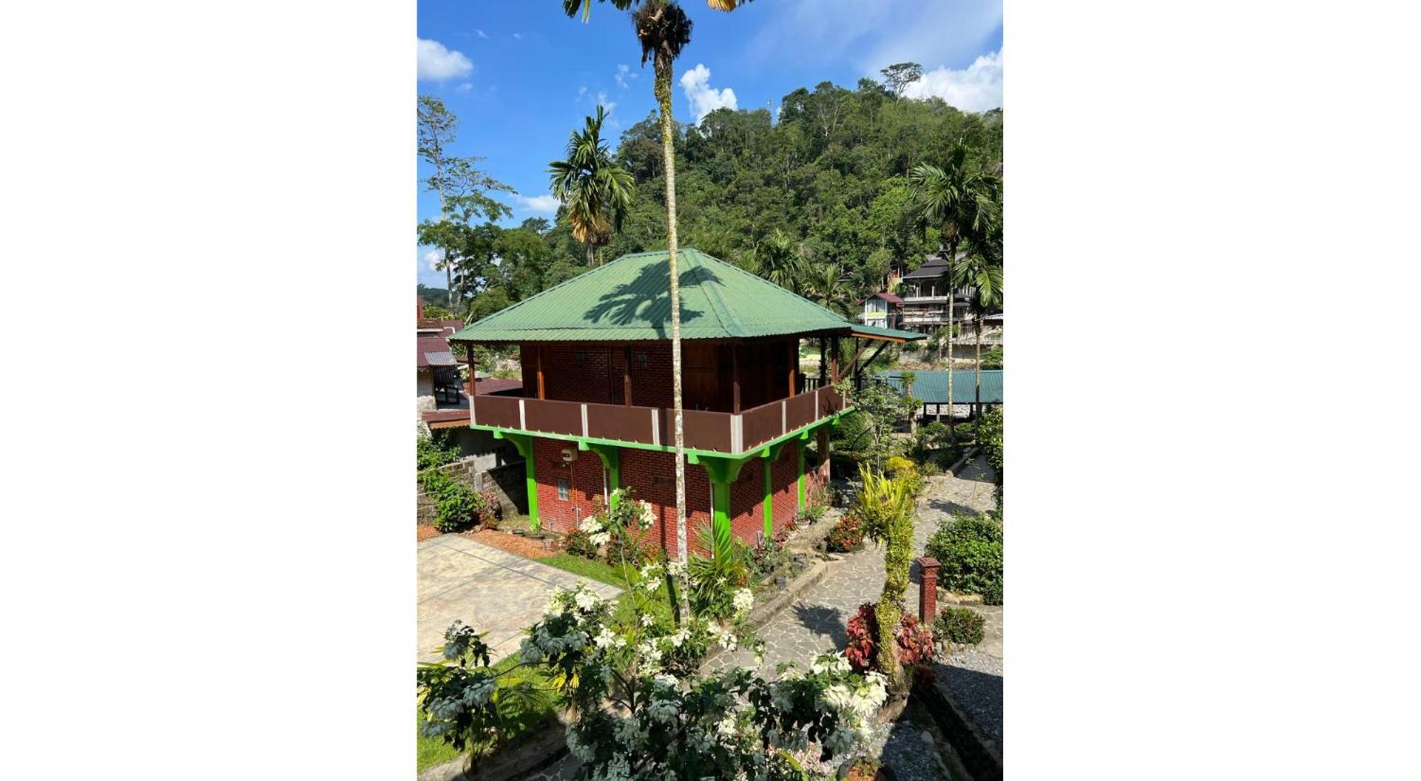 Rain Forest Guest House And Jungle Trekking Bukit Lawang Eksteriør billede