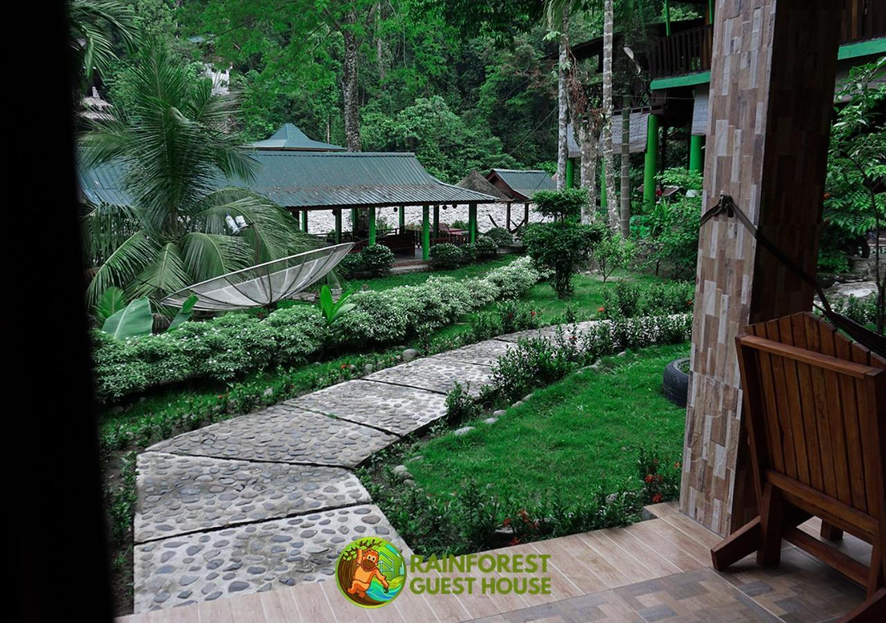Rain Forest Guest House And Jungle Trekking Bukit Lawang Værelse billede