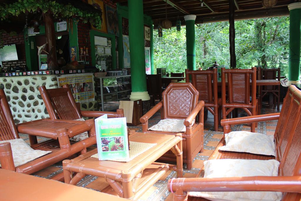 Rain Forest Guest House And Jungle Trekking Bukit Lawang Eksteriør billede
