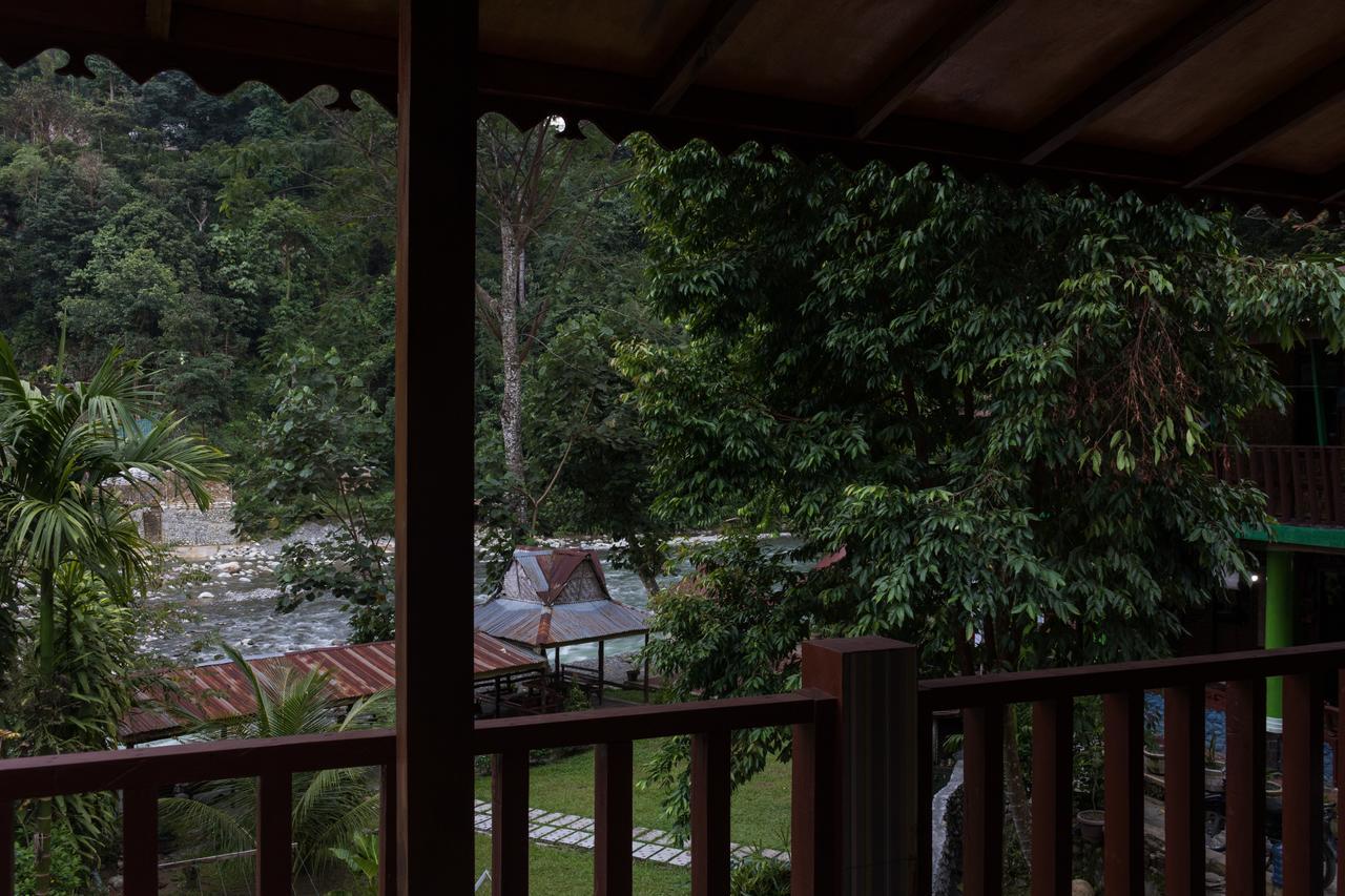 Rain Forest Guest House And Jungle Trekking Bukit Lawang Eksteriør billede