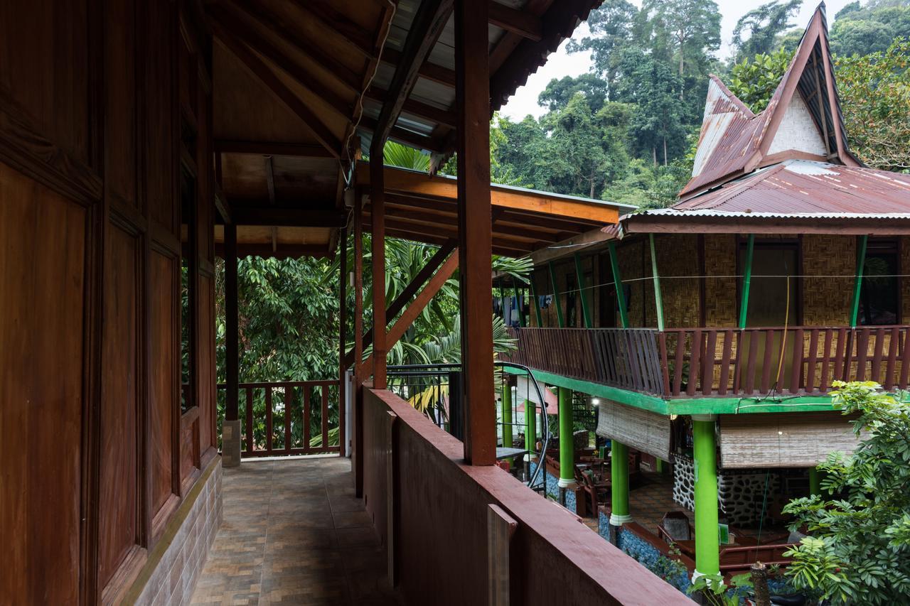Rain Forest Guest House And Jungle Trekking Bukit Lawang Eksteriør billede