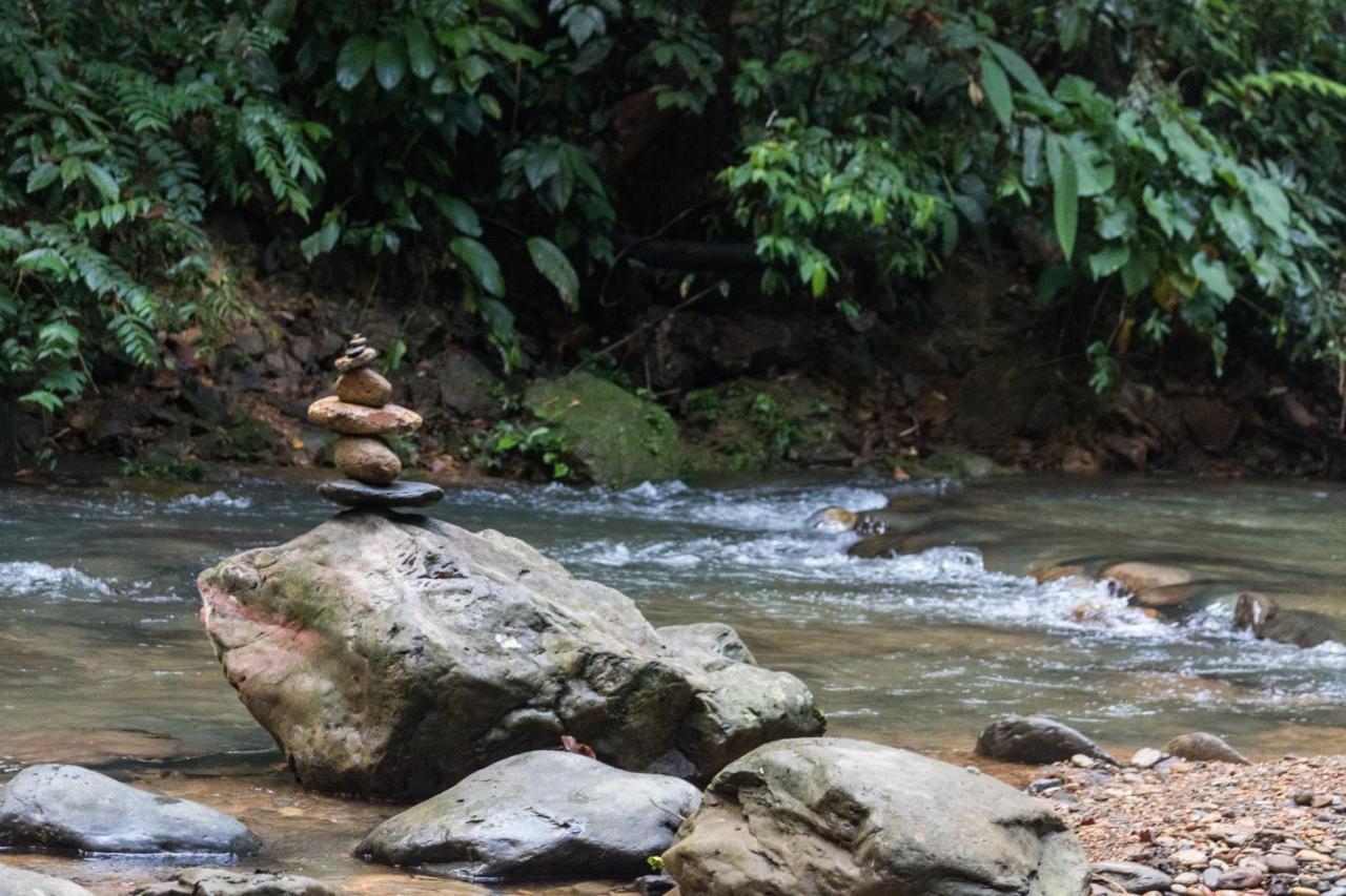 Rain Forest Guest House And Jungle Trekking Bukit Lawang Eksteriør billede