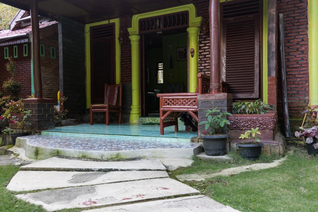 Rain Forest Guest House And Jungle Trekking Bukit Lawang Eksteriør billede