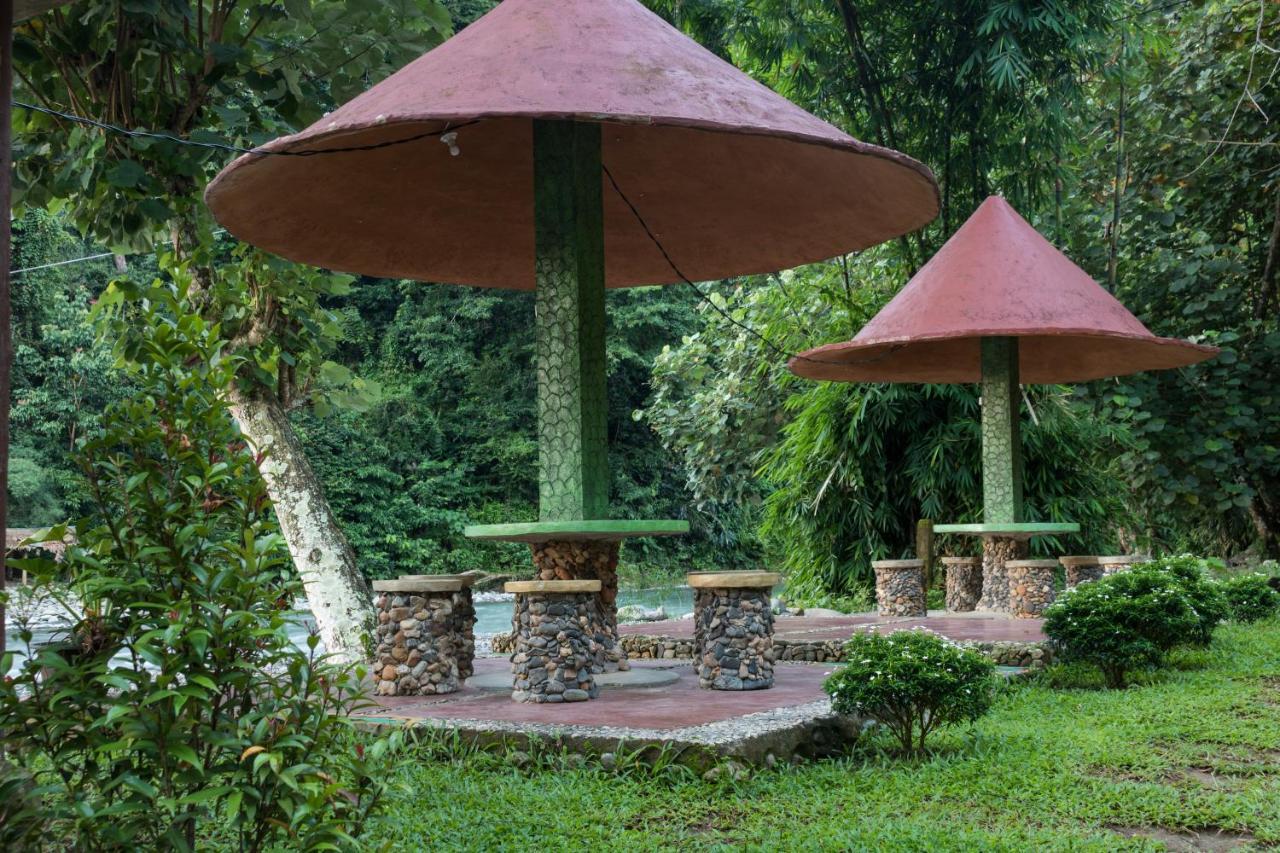 Rain Forest Guest House And Jungle Trekking Bukit Lawang Eksteriør billede